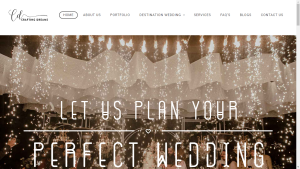 Web Design in Delhi